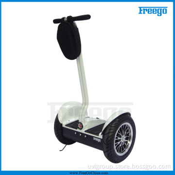 Snow Road Adult Electric Scooters with 1000W Brush Motor (F1)